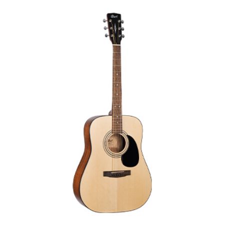 Picture for category Acoustic Guitars
