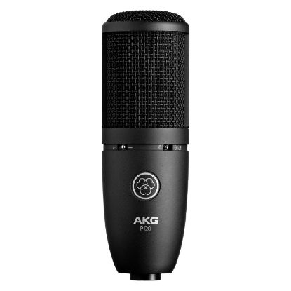 Picture of AKG P120