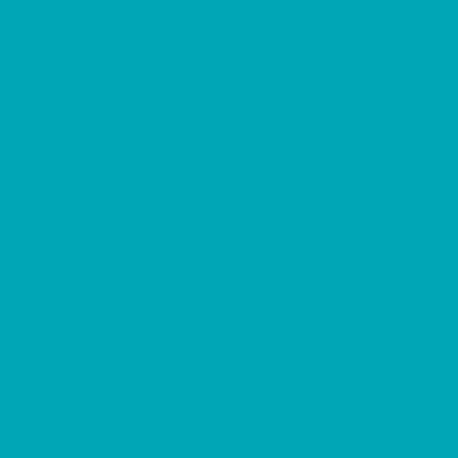 Εικόνα της Rosco E-Colour 5463