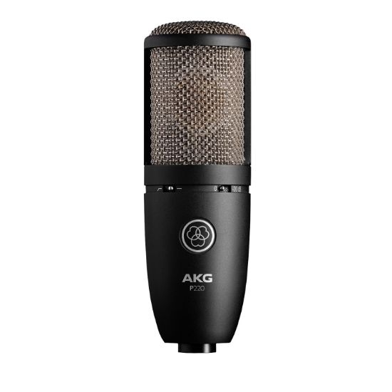 Εικόνα της AKG P220