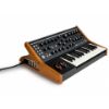 Picture of Moog Subsequent 25