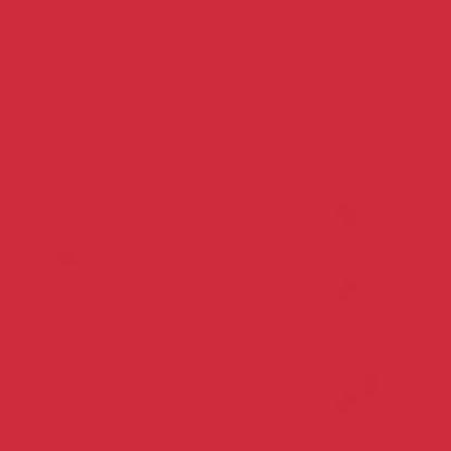 Εικόνα της Rosco E-Colour 5042