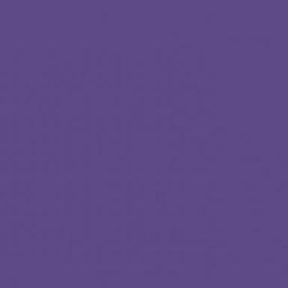 Εικόνα της Rosco E-Colour 5047