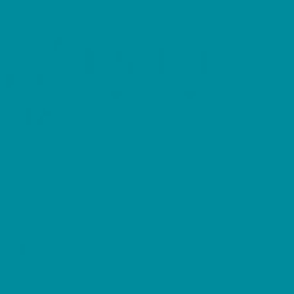 Εικόνα της Rosco E-Colour 5205