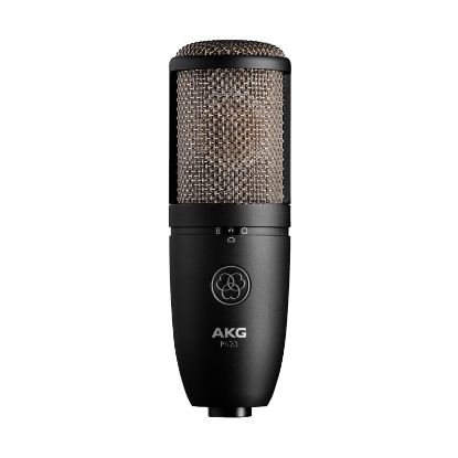 Picture of AKG P420