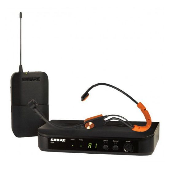 Picture of Shure BLX14E/SM31