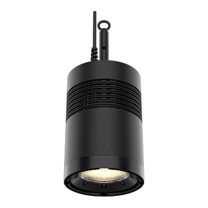 Picture of CHAUVET Professional Ovation Reve H1